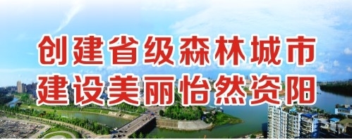 快插我啊使劲插传媒黄毛片创建省级森林城市 建设美丽怡然资阳